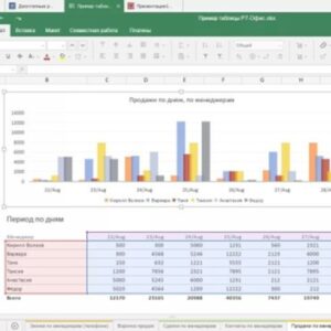Advanced Excel for Data Analysis